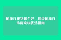 拍卖行宠物哪个好，顶级拍卖行珍稀宠物优选指南