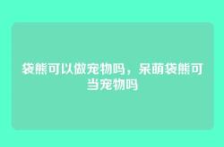 袋熊可以做宠物吗，呆萌袋熊可当宠物吗