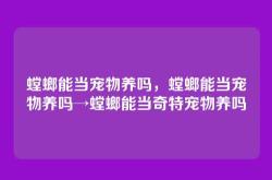 螳螂能当宠物养吗，螳螂能当宠物养吗→螳螂能当奇特宠物养吗