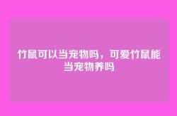 竹鼠可以当宠物吗，可爱竹鼠能当宠物养吗