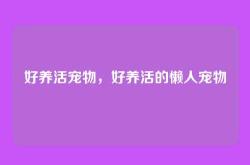 好养活宠物，好养活的懒人宠物