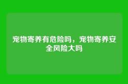 宠物寄养有危险吗，宠物寄养安全风险大吗