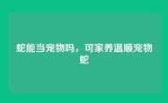 蛇能当宠物吗，可家养温顺宠物蛇