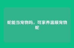 蛇能当宠物吗，可家养温顺宠物蛇
