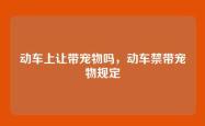 动车上让带宠物吗，动车禁带宠物规定