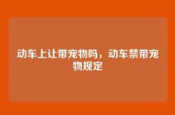 动车上让带宠物吗，动车禁带宠物规定