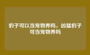 豹子可以当宠物养吗，凶猛豹子可当宠物养吗