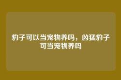 豹子可以当宠物养吗，凶猛豹子可当宠物养吗