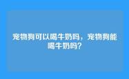 宠物狗可以喝牛奶吗，宠物狗能喝牛奶吗？