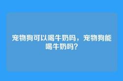宠物狗可以喝牛奶吗，宠物狗能喝牛奶吗？