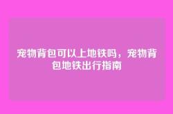 宠物背包可以上地铁吗，宠物背包地铁出行指南