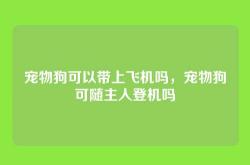 宠物狗可以带上飞机吗，宠物狗可随主人登机吗