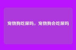 宠物狗吃屎吗，宠物狗会吃屎吗