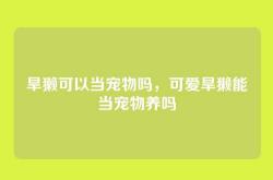旱獭可以当宠物吗，可爱旱獭能当宠物养吗