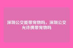 深圳公交能带宠物吗，深圳公交允许携带宠物吗