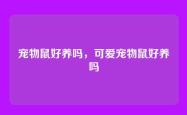 宠物鼠好养吗，可爱宠物鼠好养吗