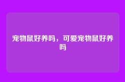 宠物鼠好养吗，可爱宠物鼠好养吗