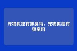 宠物狐狸有狐臭吗，宠物狐狸有狐臭吗