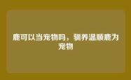 鹿可以当宠物吗，驯养温顺鹿为宠物