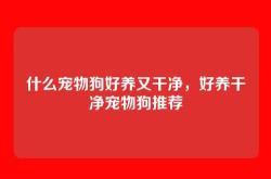 什么宠物狗好养又干净，好养干净宠物狗推荐