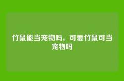 竹鼠能当宠物吗，可爱竹鼠可当宠物吗