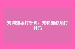 宠物猫要打针吗，宠物猫必须打针吗
