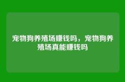宠物狗养殖场赚钱吗，宠物狗养殖场真能赚钱吗
