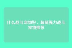 什么战斗宠物好，超萌强力战斗宠物推荐