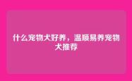 什么宠物犬好养，温顺易养宠物犬推荐