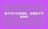狍子可以当宠物吗，呆萌狍子可家养吗