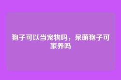 狍子可以当宠物吗，呆萌狍子可家养吗