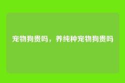 宠物狗贵吗，养纯种宠物狗贵吗