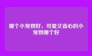 哪个小宠物好，可爱又省心的小宠物哪个好