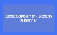 奥兰奶奶宠物哪个好，奥兰奶奶宠物哪个好
