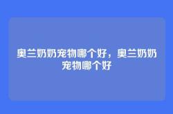 奥兰奶奶宠物哪个好，奥兰奶奶宠物哪个好