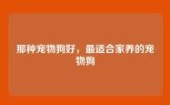 那种宠物狗好，最适合家养的宠物狗