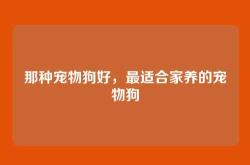 那种宠物狗好，最适合家养的宠物狗