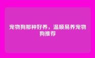 宠物狗那种好养，温顺易养宠物狗推荐