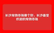 长沙宠物市场哪个好，长沙最受欢迎的宠物市场