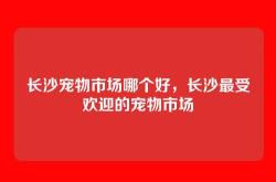 长沙宠物市场哪个好，长沙最受欢迎的宠物市场
