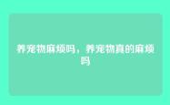 养宠物麻烦吗，养宠物真的麻烦吗