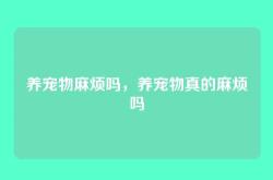 养宠物麻烦吗，养宠物真的麻烦吗