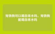 宠物狗可以喝自来水吗，宠物狗能喝自来水吗
