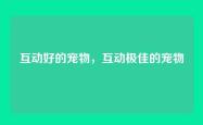 互动好的宠物，互动极佳的宠物