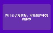 养什么小宠物好，可爱易养小宠物推荐
