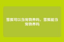 雪狐可以当宠物养吗，雪狐能当宠物养吗