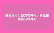 黄鼠狼可以当宠物养吗，黄鼠狼能当宠物养吗