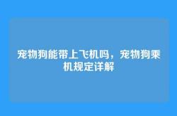 宠物狗能带上飞机吗，宠物狗乘机规定详解