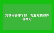 宠物寄养哪个好，专业宠物寄养哪家好