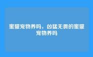 蜜獾宠物养吗，凶猛无畏的蜜獾宠物养吗